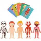 EL CUERPO HUMANO PUZZLES 240 PZ APLI