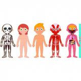 EL CUERPO HUMANO PUZZLES 240 PZ APLI