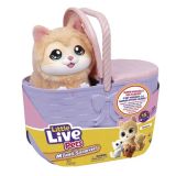 KITTY LITTLE LIVE PETS MAMA SURPRISE KITTY MOOSE