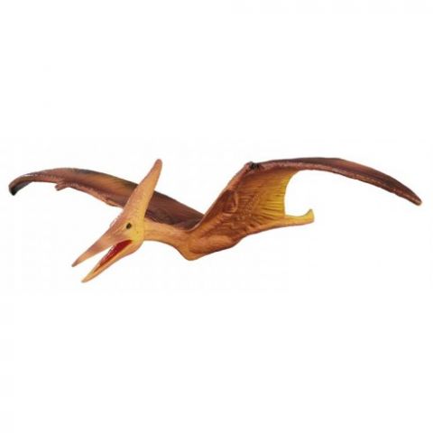 PTERANODON DEQUBE