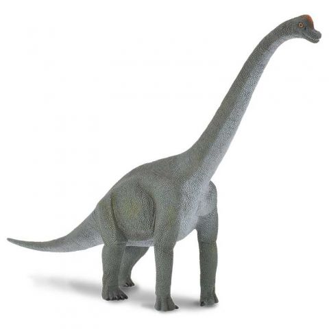 BRACHIOSAURUS DEQUBE