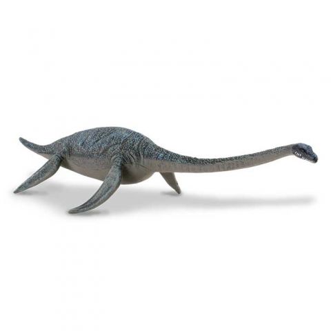 HYDROTHEROSAURUS DEQUBE