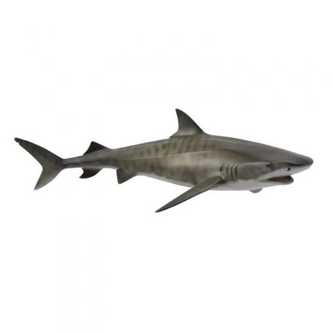 TIBURÓN TIGRE L COLLECTA DEQUBE