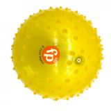 PELOTA SENSORIAL 17 CM FISHER PRICE