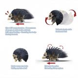 ROBO-ERIZO INTERACTIVO DEQUBE