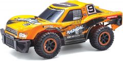 NINCORACERS RADICAL FJNINCO