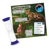 BRAINBOX ANIMALES ASMODEE 